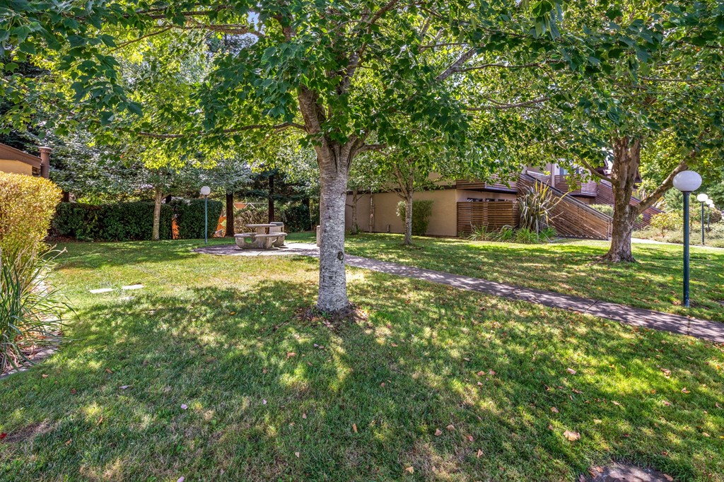 Mature Trees at Edgewood Apartments, California, 94928