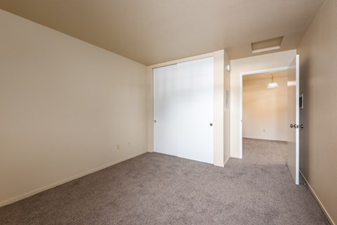 a bedroom with carpet and a door to a closet
