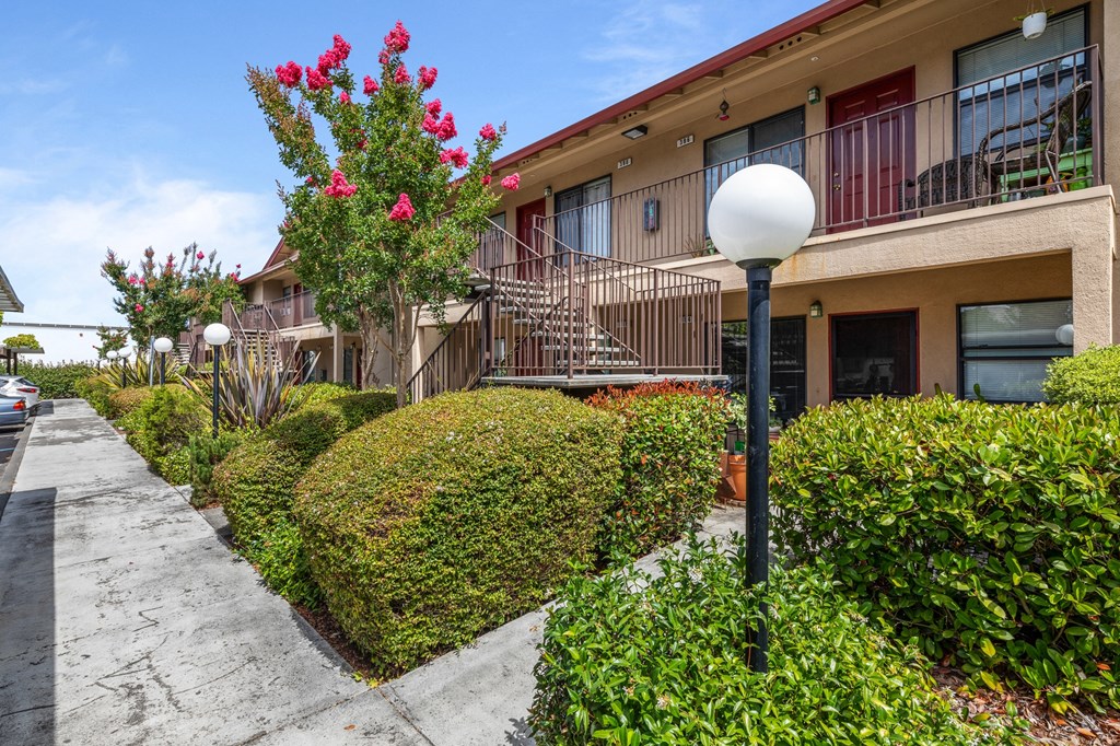 Courtyard Garden at Manor Apartments, Rohnert Park