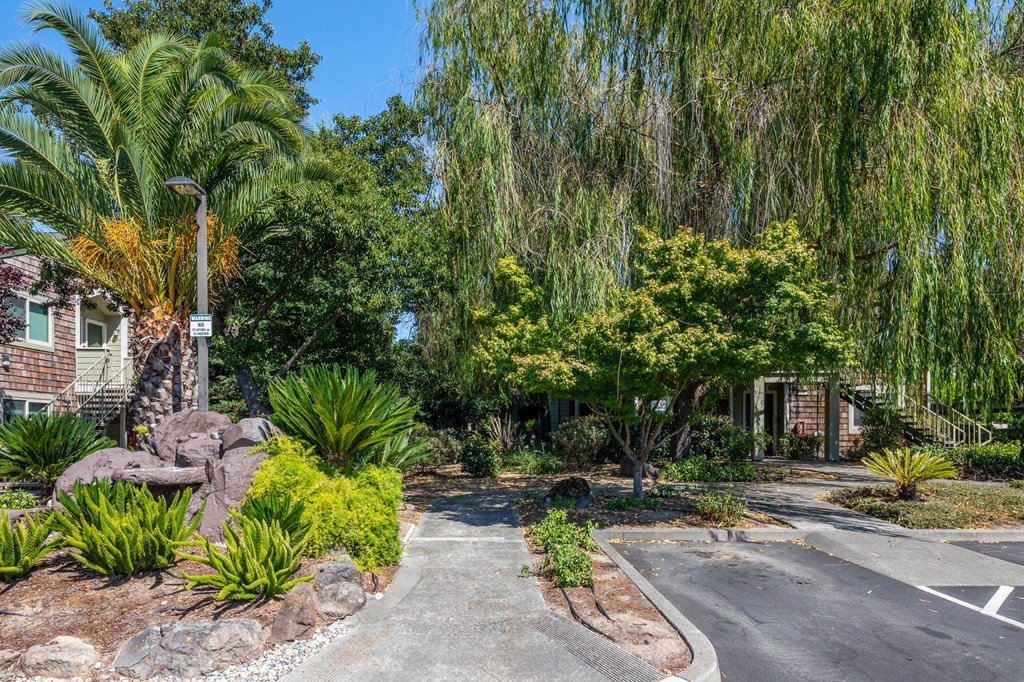 Courtyard Garden at Meadowview Apartments, Santa Rosa, 95407