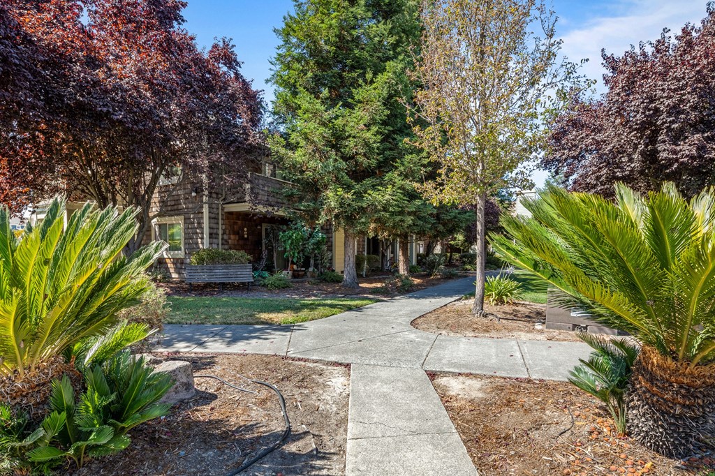 Walking Path at Meadowview Apartments, Santa Rosa, California