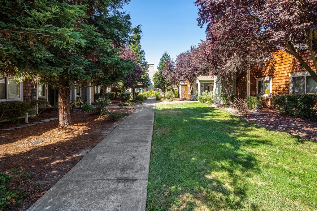 Lush Green Outdoor at Meadowview Apartments, California