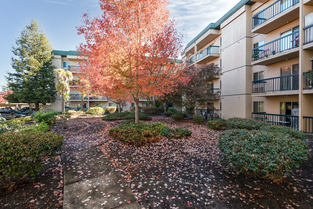 Courtyard at Altamont Apartments, California, 94928