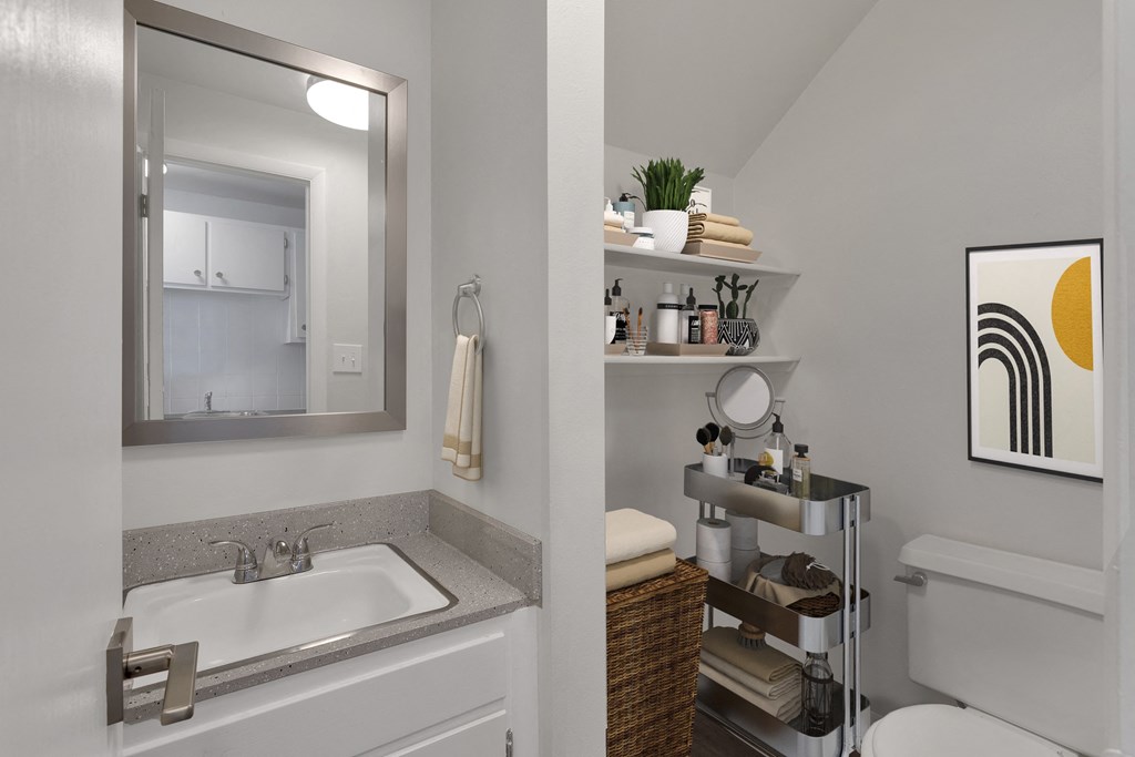 bathroom view with one sink station to the left and a toilet and storage space to the right