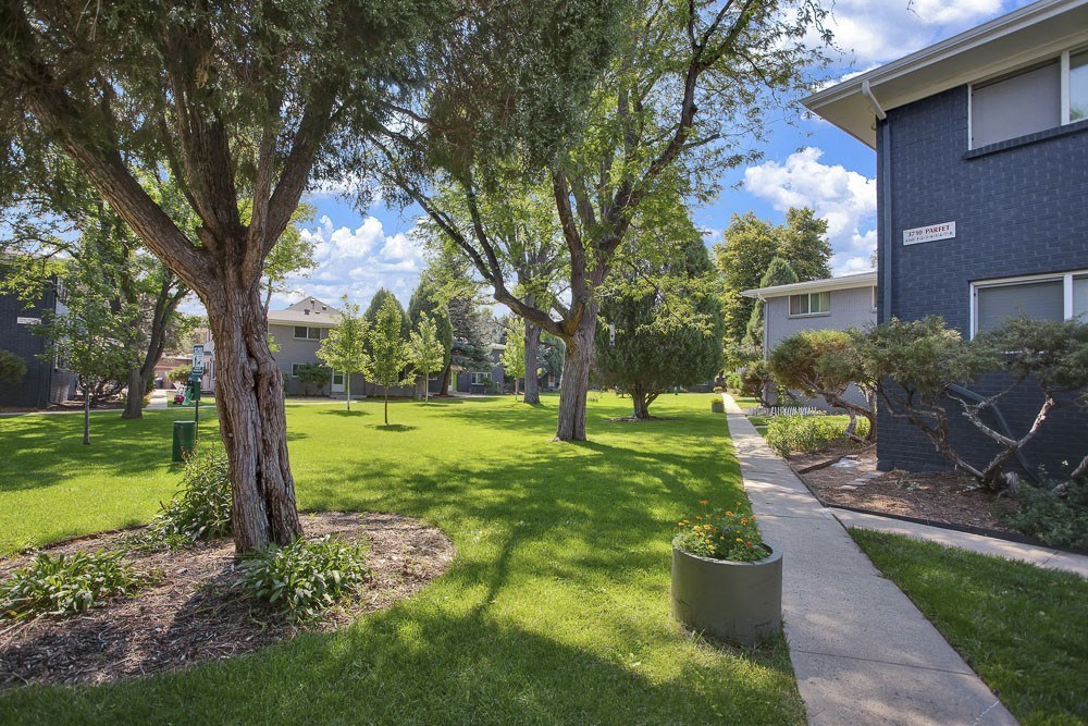 outdoor landscaping with trees on the left and a view of an apartment building on the right with a sidewalk running through the grass