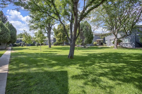 landscaping with tree in the middle
