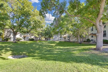 5901 Pierce Street 1-4 Beds Apartment for Rent - Photo Gallery 3