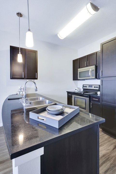 A modern kitchen with a black countertop and stainless steel appliances.