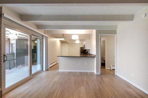 living room and kitchen