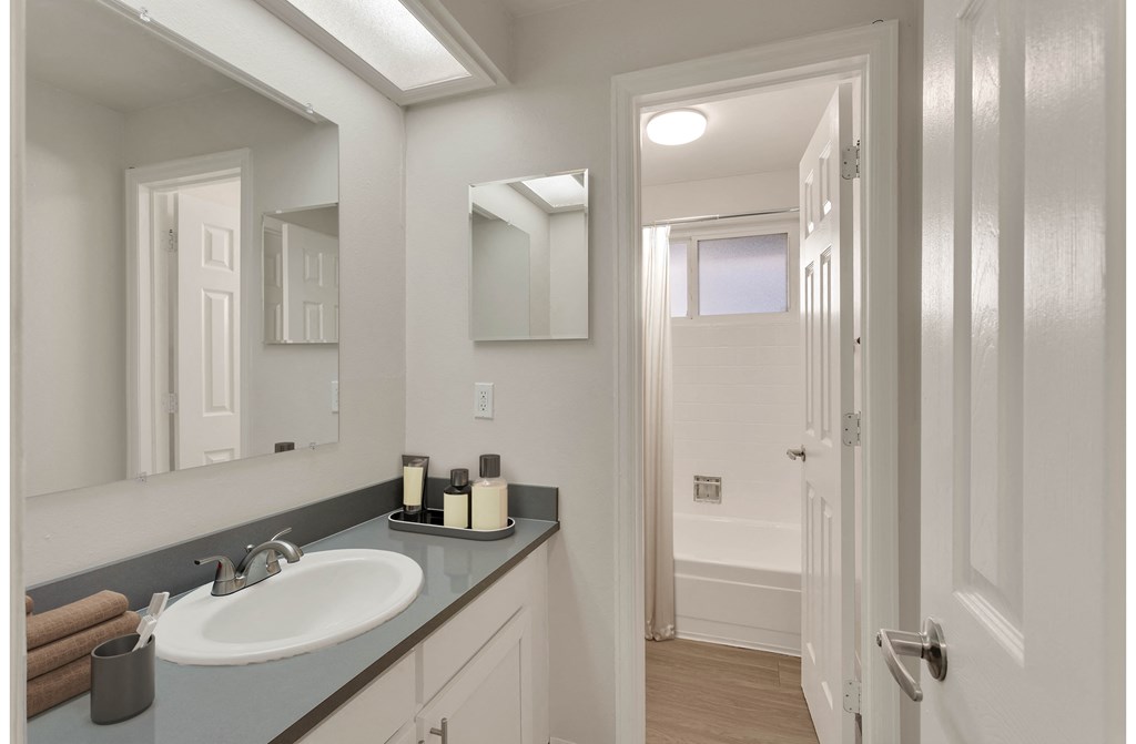 Brand new renovated bathrooms with modern plumbing and light fixtures.