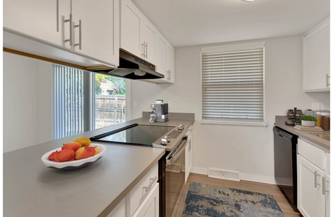 Brand new renovated kitchens with new appiances and updated plumbing fixtures.