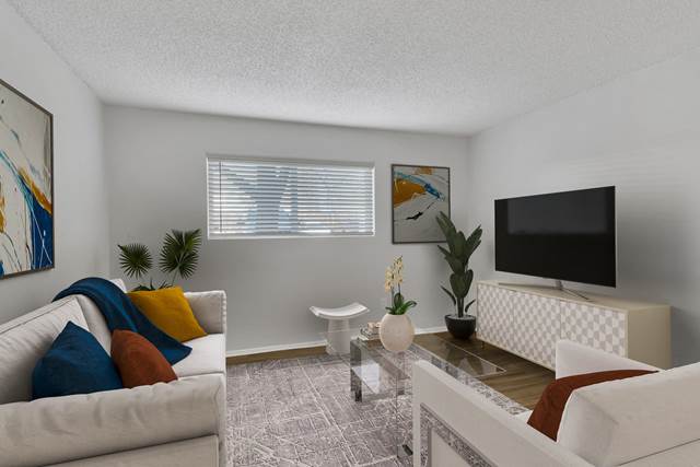 1-bedroom apartment at Canopy Creek Apartments in Arvada, CO