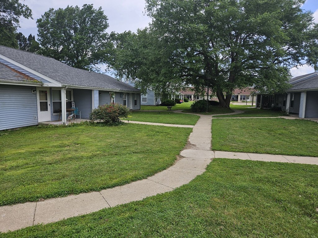 A grassy area with a walkway and a large tree in the background.