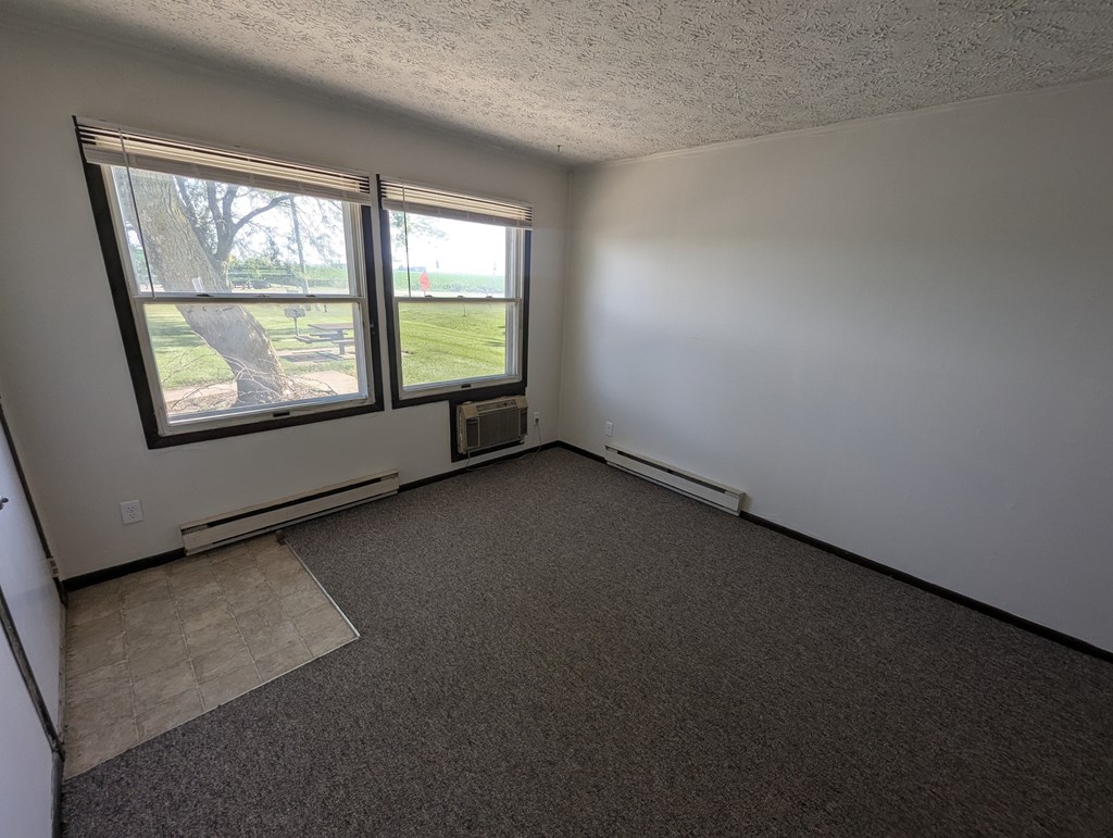 A room with a carpeted floor and a window overlooking a tree.