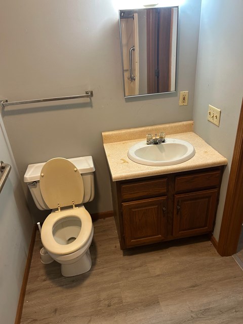 A white toilet sits next to a sink in a bathroom.