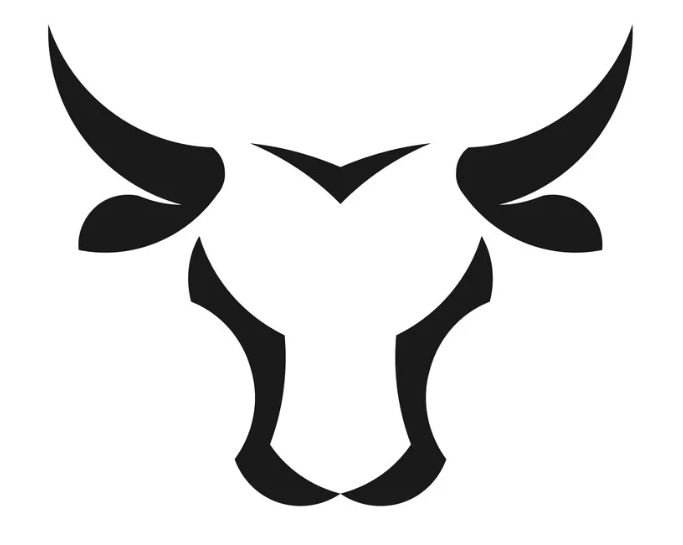Bull City Towers logo