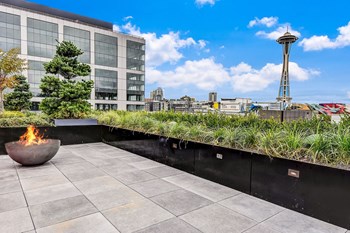 Rooftop View