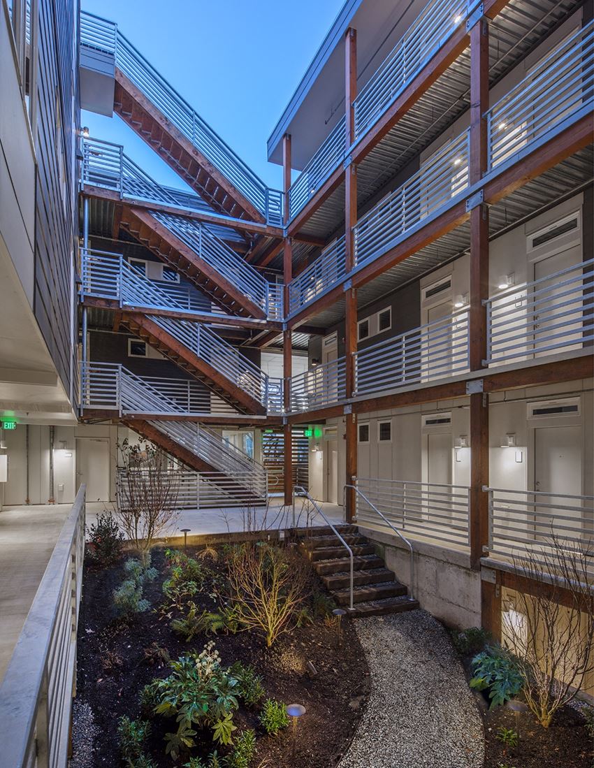 Redwood stairway view