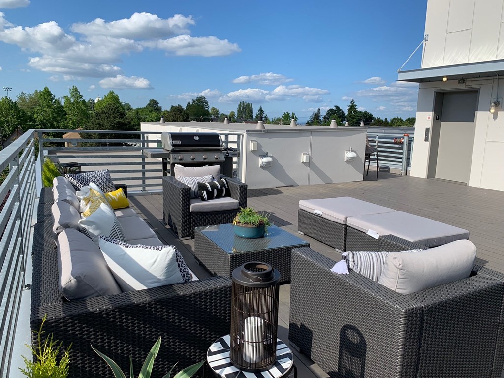 Redwood rooftop view 1