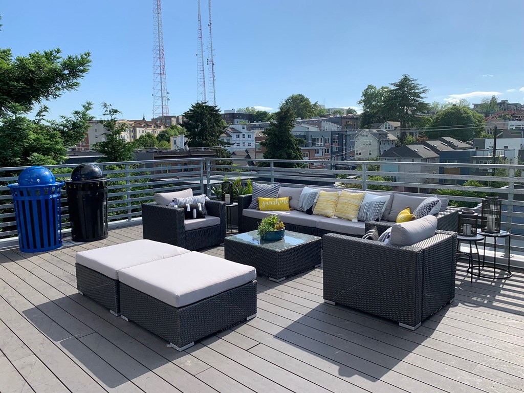 Redwood rooftop view 2