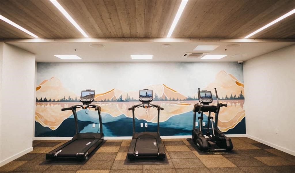 a workout room with treadmills and a mural of a lake and mountains
