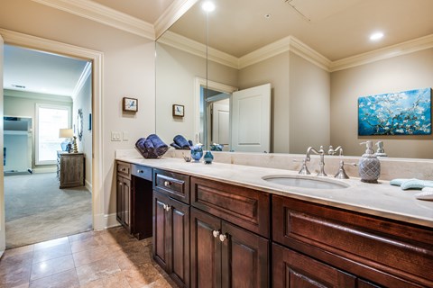 A bathroom with a double sink vanity and a large mirror.
