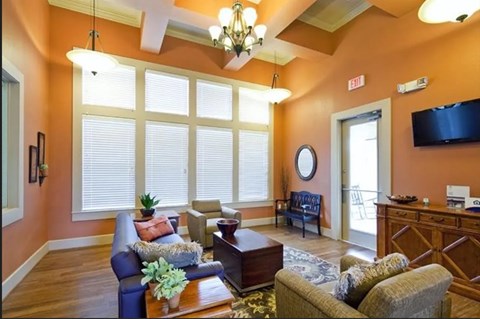 A living room with a blue couch, a brown coffee table, and a green plant on the table.