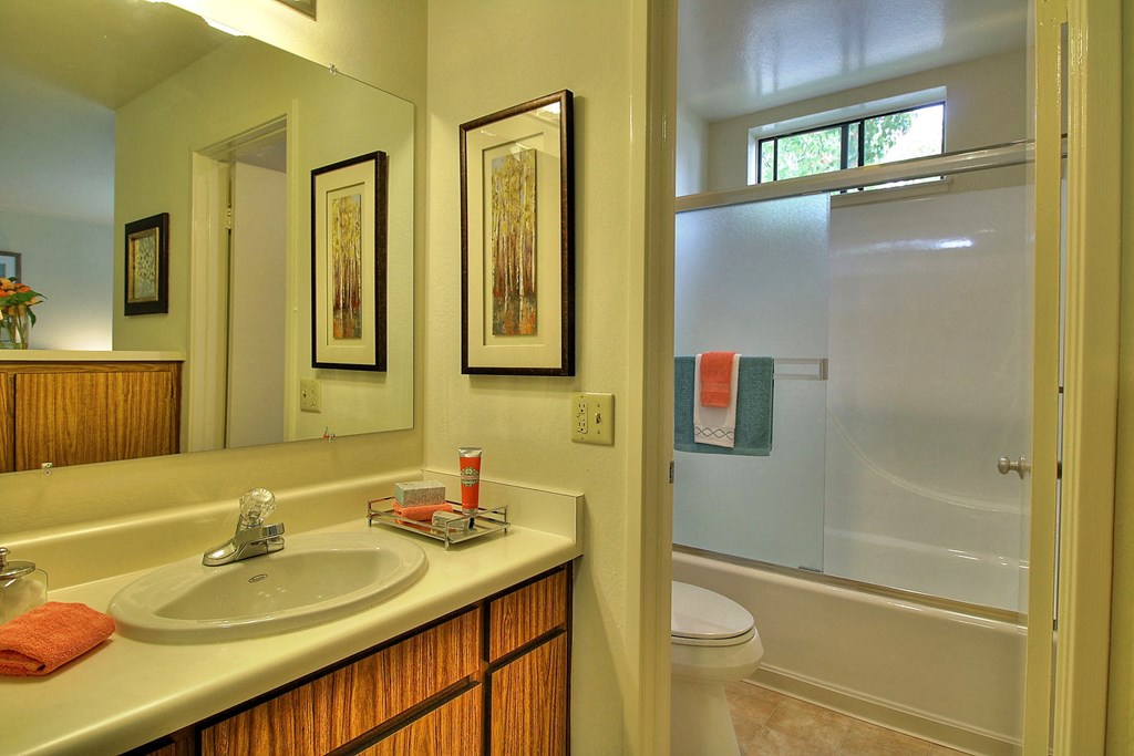 a bathroom with a sink and a toilet and a shower