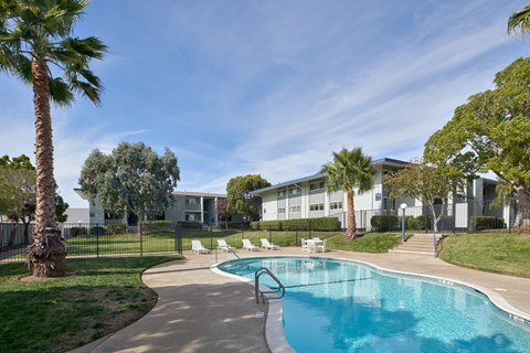 A swimming pool surrounded by palm trees and a building in the background.