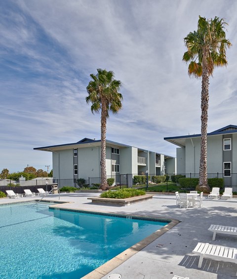 A pool surrounded by palm trees and lounge chairs.