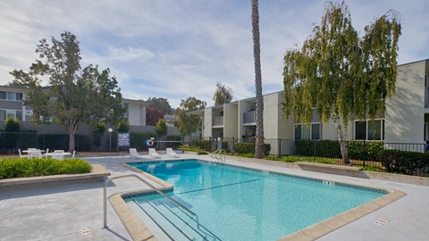 A swimming pool in a residential area with trees and buildings in the background.