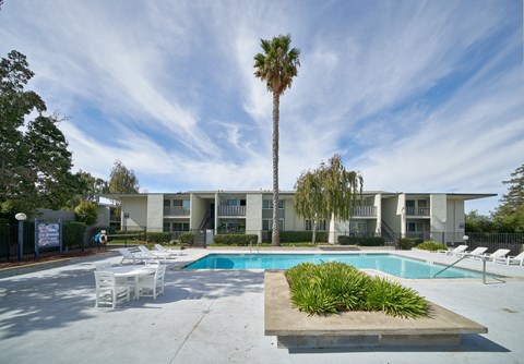 A pool area with a palm tree and a building in the background.