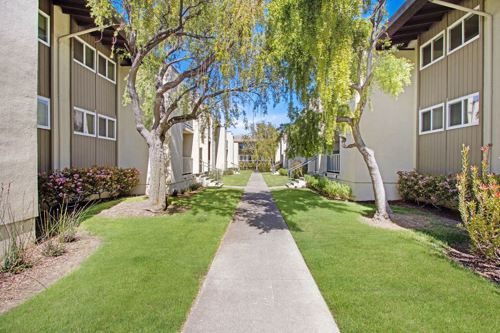 a sidewalk lined with trees in front of apartment buildings