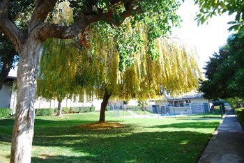 Courtyard North - Photo Gallery 4