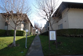 Main Walkway - Photo Gallery 2
