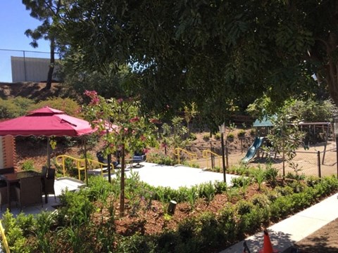 a garden with a pool and a red umbrella