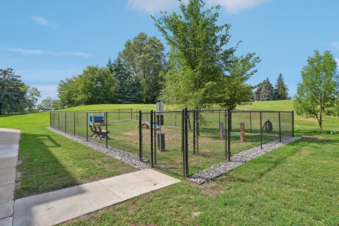 A black fence runs along a grassy area.