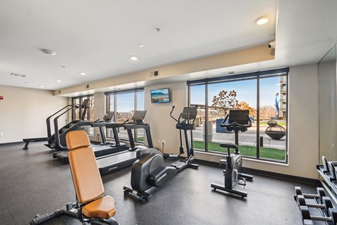 A gym with treadmills, exercise bikes, and other equipment.