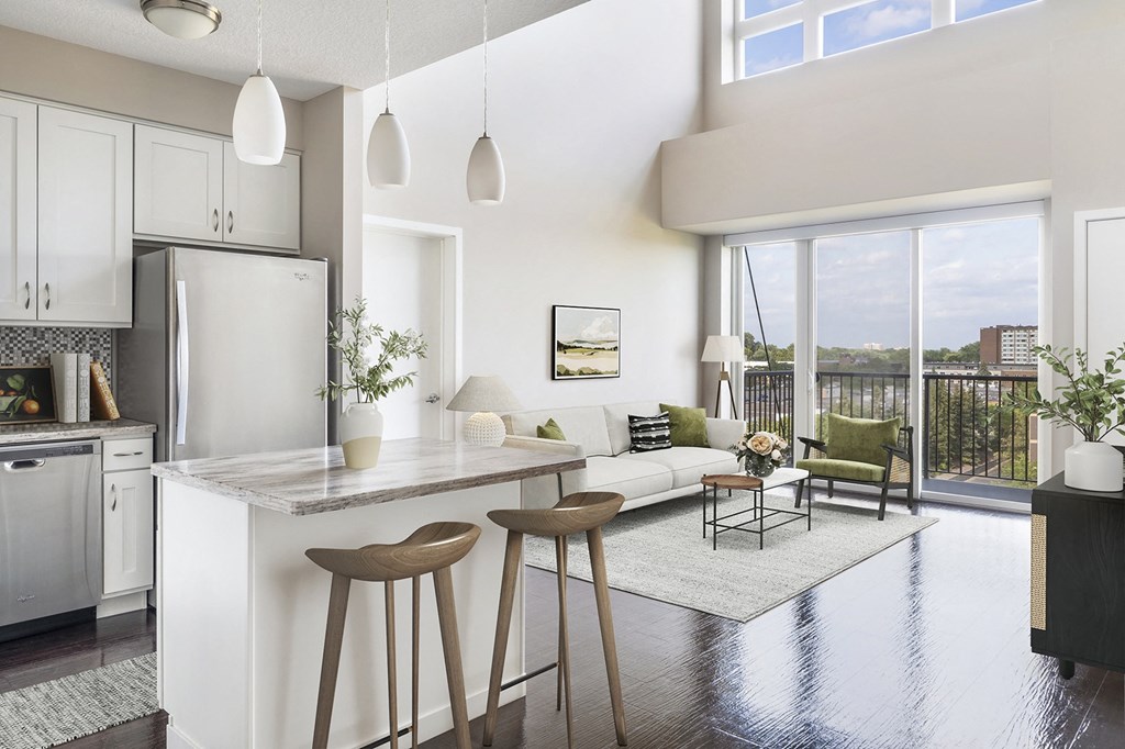 71 France Edina MN-Stunning Open Concept Living2