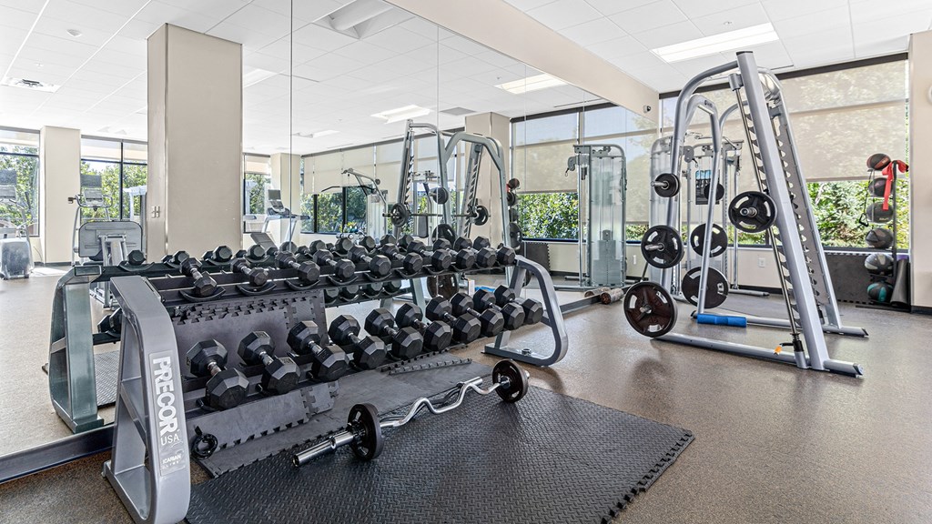 a gym with weights on the floor and a row of weights on a rack