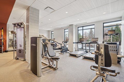 Fully Equipped Gym at Arcata Apartments, Minnesota