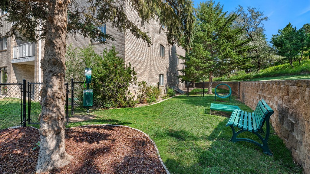 our apartments have a small yard with a bench and a tree
