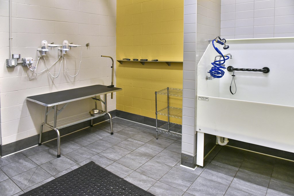 On site dog wash station with tile flooring.