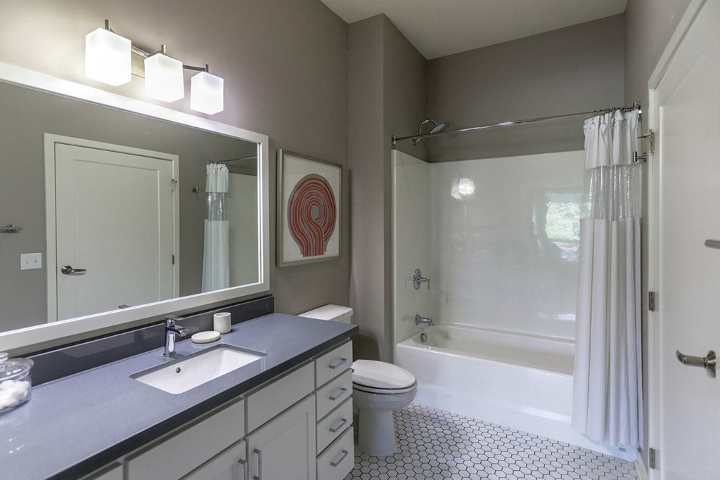 ArcataApartmentsGoldenValleyMNBathroom