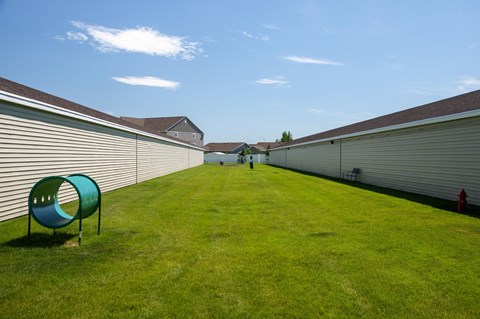 Dog Park Lawn
