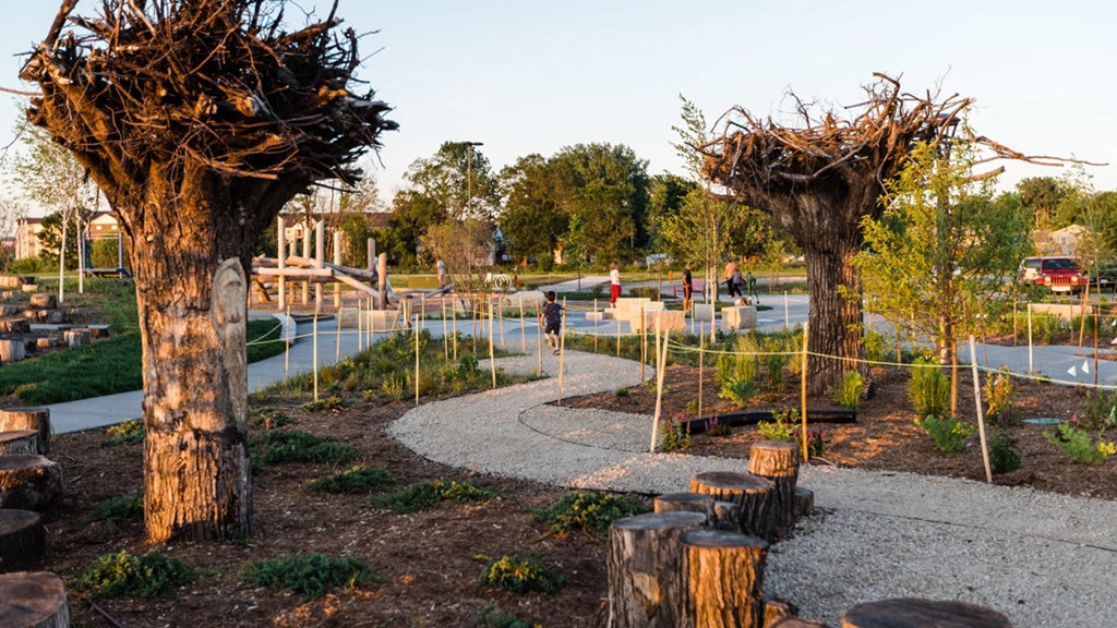 a garden with trees and a path in a park
