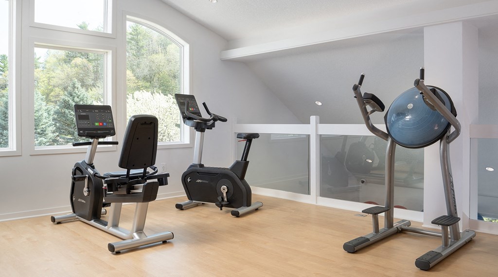 a gym with exercise equipment in a home gym