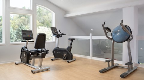 a gym with exercise equipment in a home gym