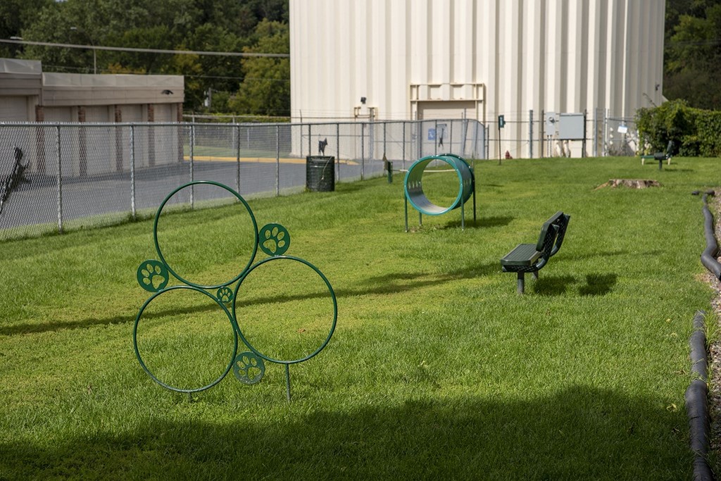 a park with a bench and some hoops on the grass