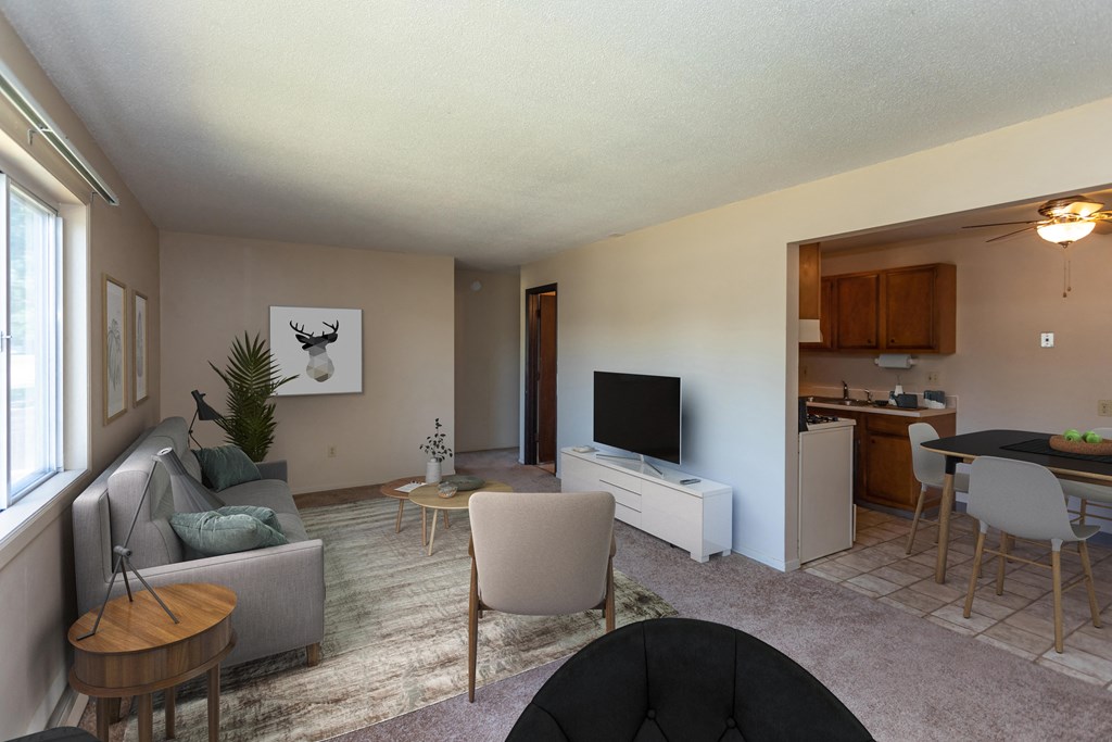 Living Room with Couches and TV, Kitchen with Dining Table